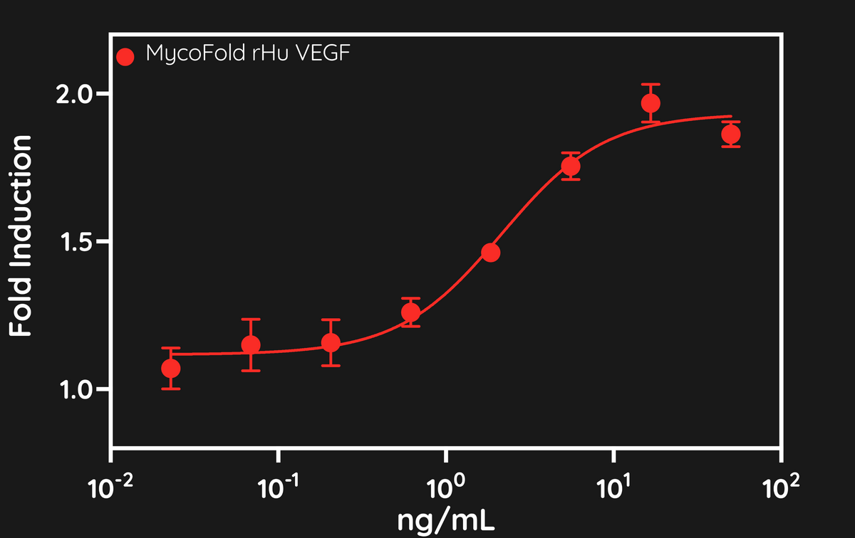 MycoFold™ rHu Vascular Endothelial Growth Factor A (VEGF)